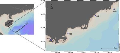 Spatial variability in the abundance and prey selection of the corallivorous snail Drupella spp. in the southeastern Hainan Island, China